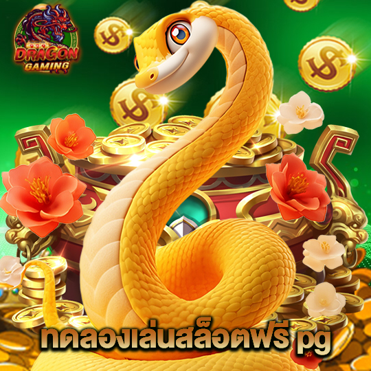 dragon gaming ทดลองเล่นสล็อตฟรี pg